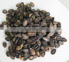 foodstuff / new crop black watermelon seeds A grade for sale