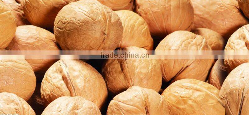 Organic Walnuts in shell