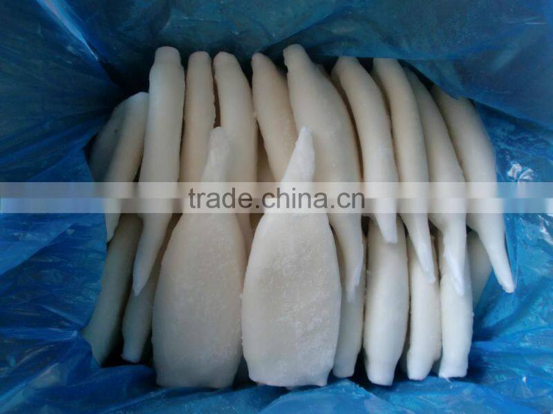 IQF squid tube fish Todarodes Pacificus