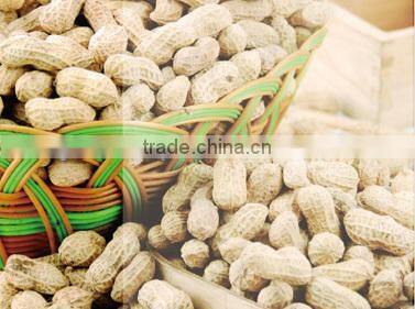 All specification for peanut butter low price