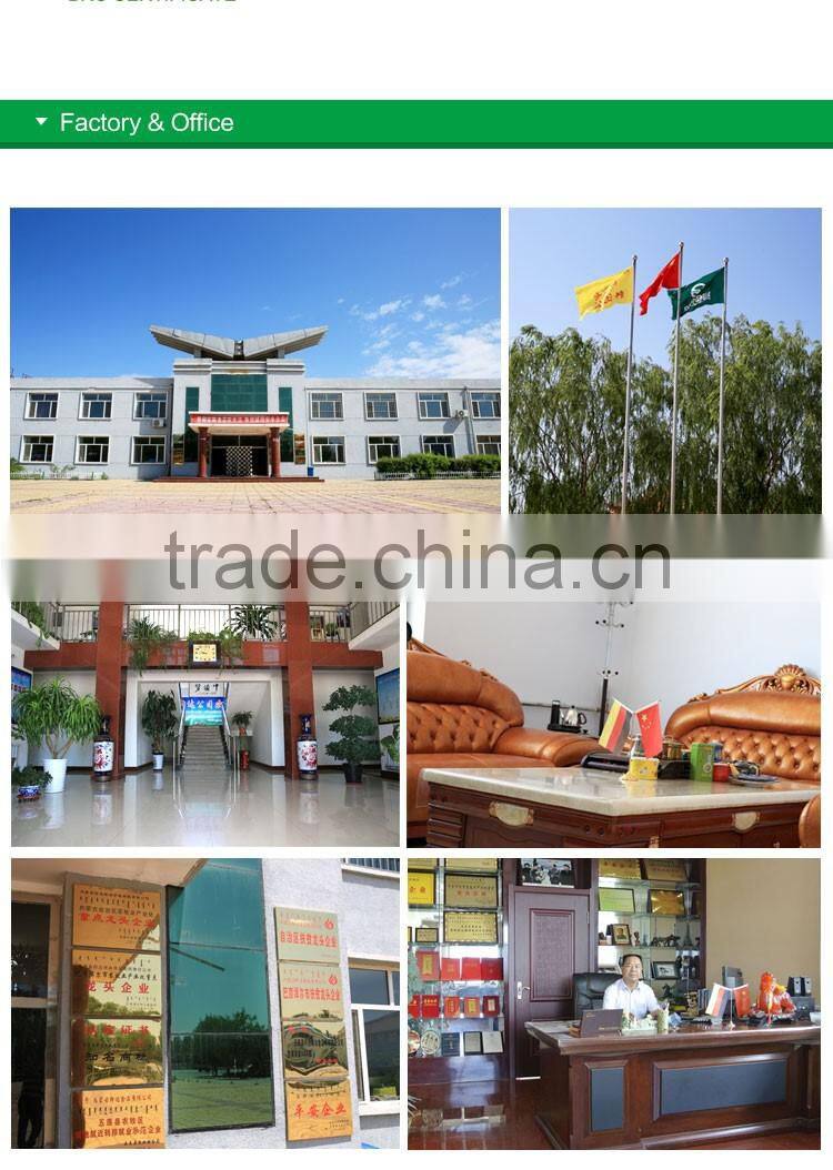 chinese best price for water melon seeds