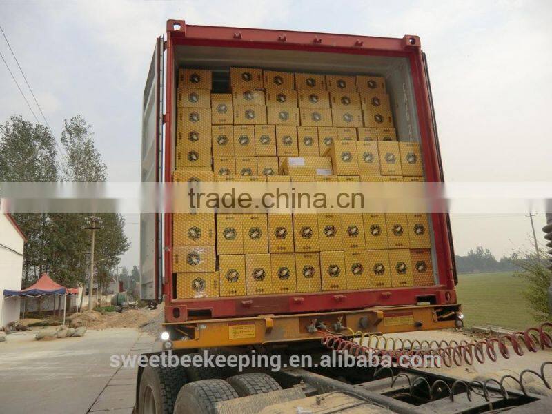 hot sale plastic grafiting tool for beekeeping