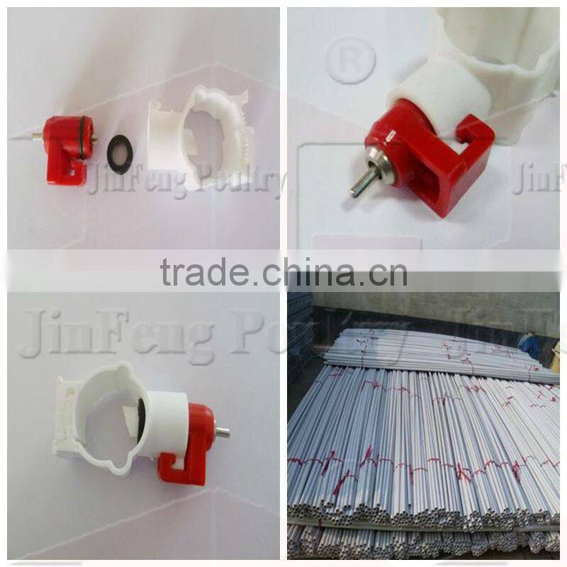 H Type Pullet Rearing Equipment 3tiers