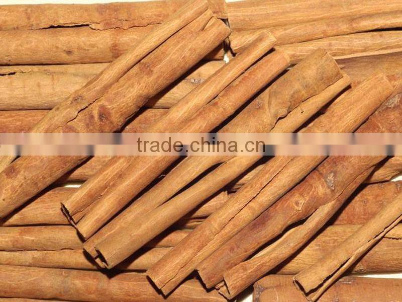 BEST OFFER FOR VIETNAM CASSIA/ CINNAMON BEST SPICES STANDARD CROP 2016