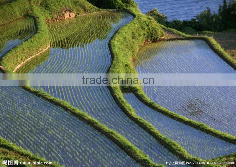 Chinadrip Irrigation supplies sprinkler system sprinkler heads