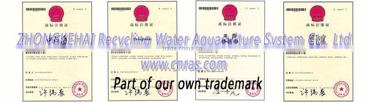 Soft shell crab soft shell crab farm crab farm