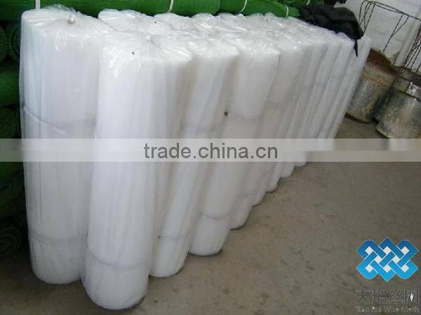 plastic plain net /plastic flat net
