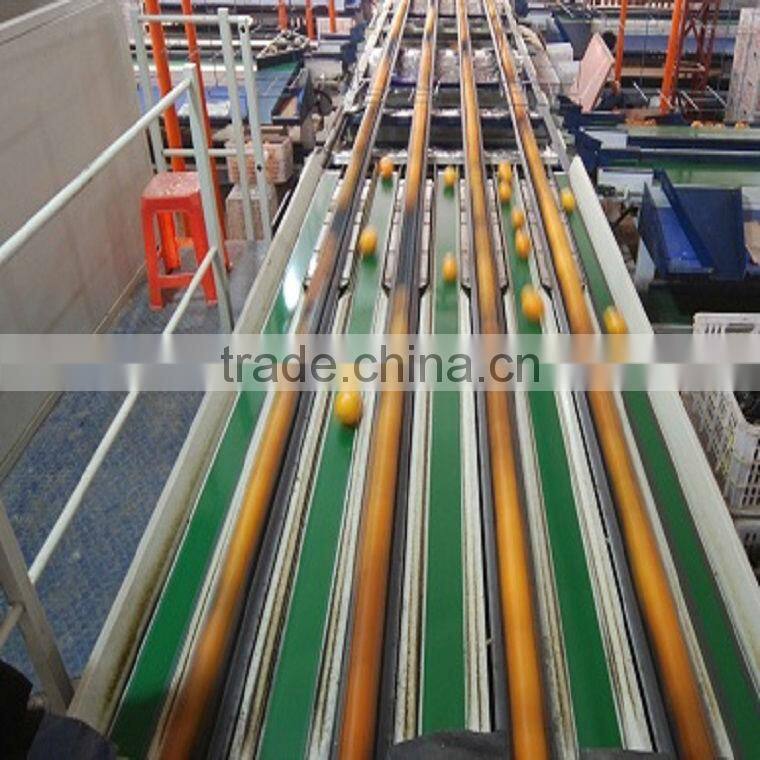 4 lane electronic grading Citrus production line