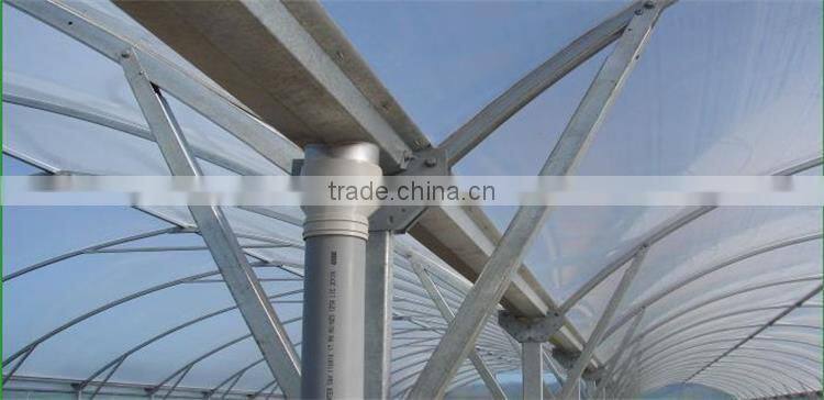 Multi-Span greenhouse with green house roof ventilation