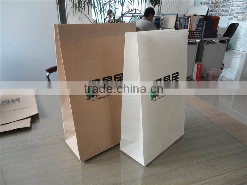 Elegant Custom Printing Promotional Paper Bag with Cotton Handle