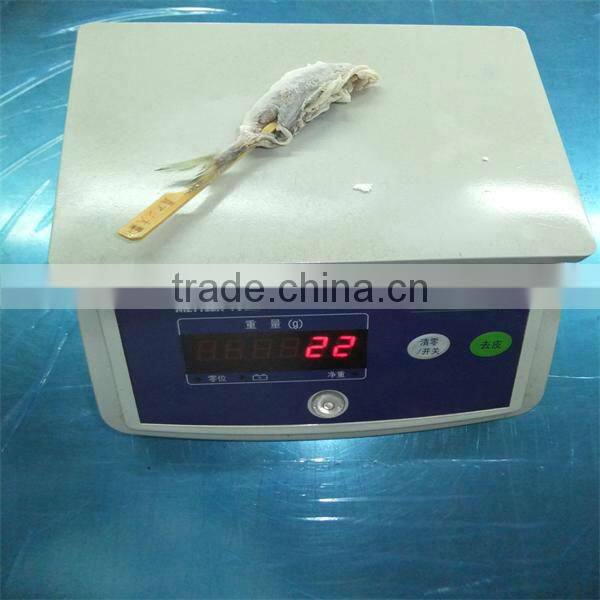 seafood breaded fish frozen
