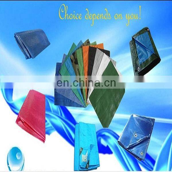 Canvas Cover Pe Tarpaulin in roll