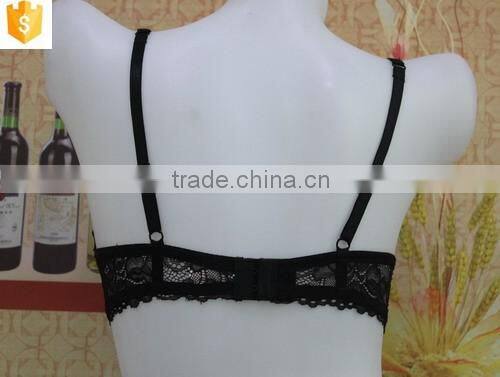 new design sexy lace bra,push up bra,padding ladies bra