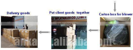 Custom made giant inflatable party dome tent for sales