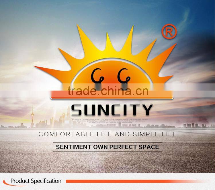 SC-S054 European Flat Steel Door Exterior Metal Doors Design