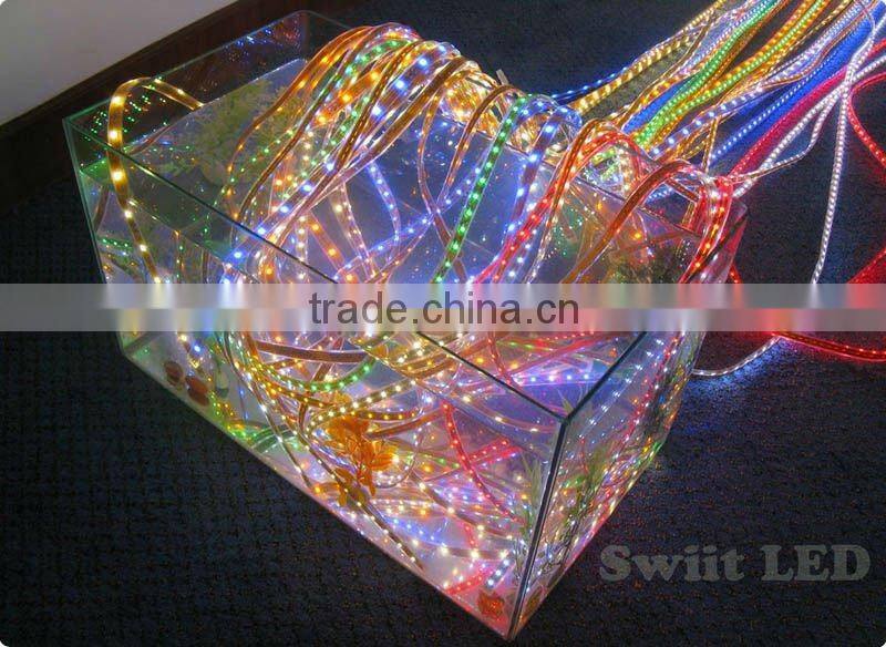 Hot Sale Waterproof IP65 220V/110V LED Strip RGB CE&RoHs Approved