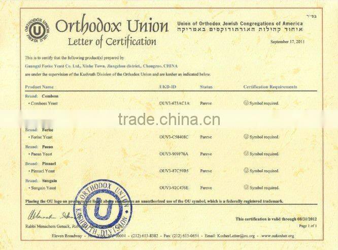 that dry yeast 500 gram instant dry Yeast