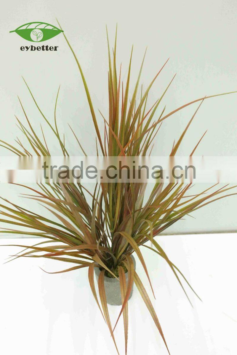 hot selling narture green air plants bonsai for garden decoration