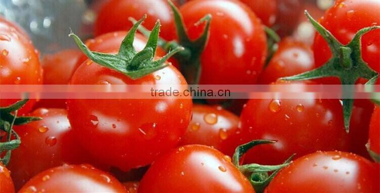 Huminrich High Active Potassium Humic Acid Looking For Agent In Egypt