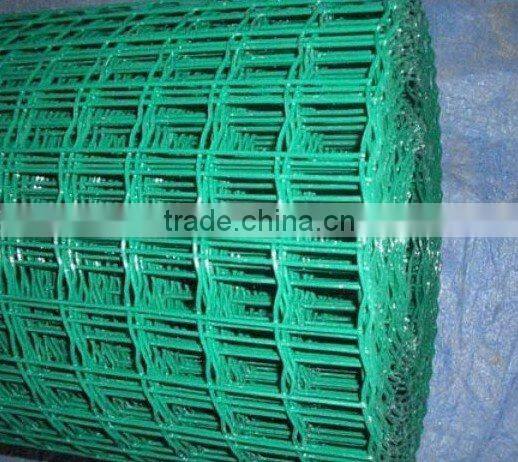 ISO 9001 Galvanized welded wire mesh price(Factory Sales)