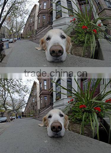 Universal clip 180 degree fisheye cheap lens for smartphone