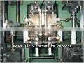 plastic extrusion blow molding machine(SPB-1L2JD)