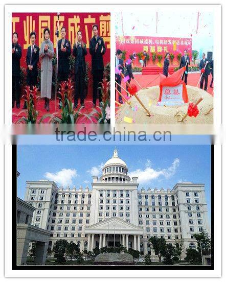 GUOMAO GRgeared motors for animal feeding plant