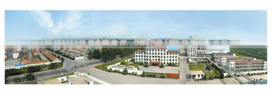 maltodextrin DE10-20