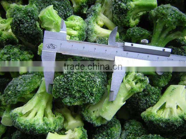 New crop frozen broccoli