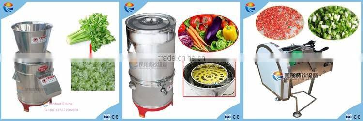 Water Recycle Saving Vegetable and Fruit Washing Cleaning Machine
