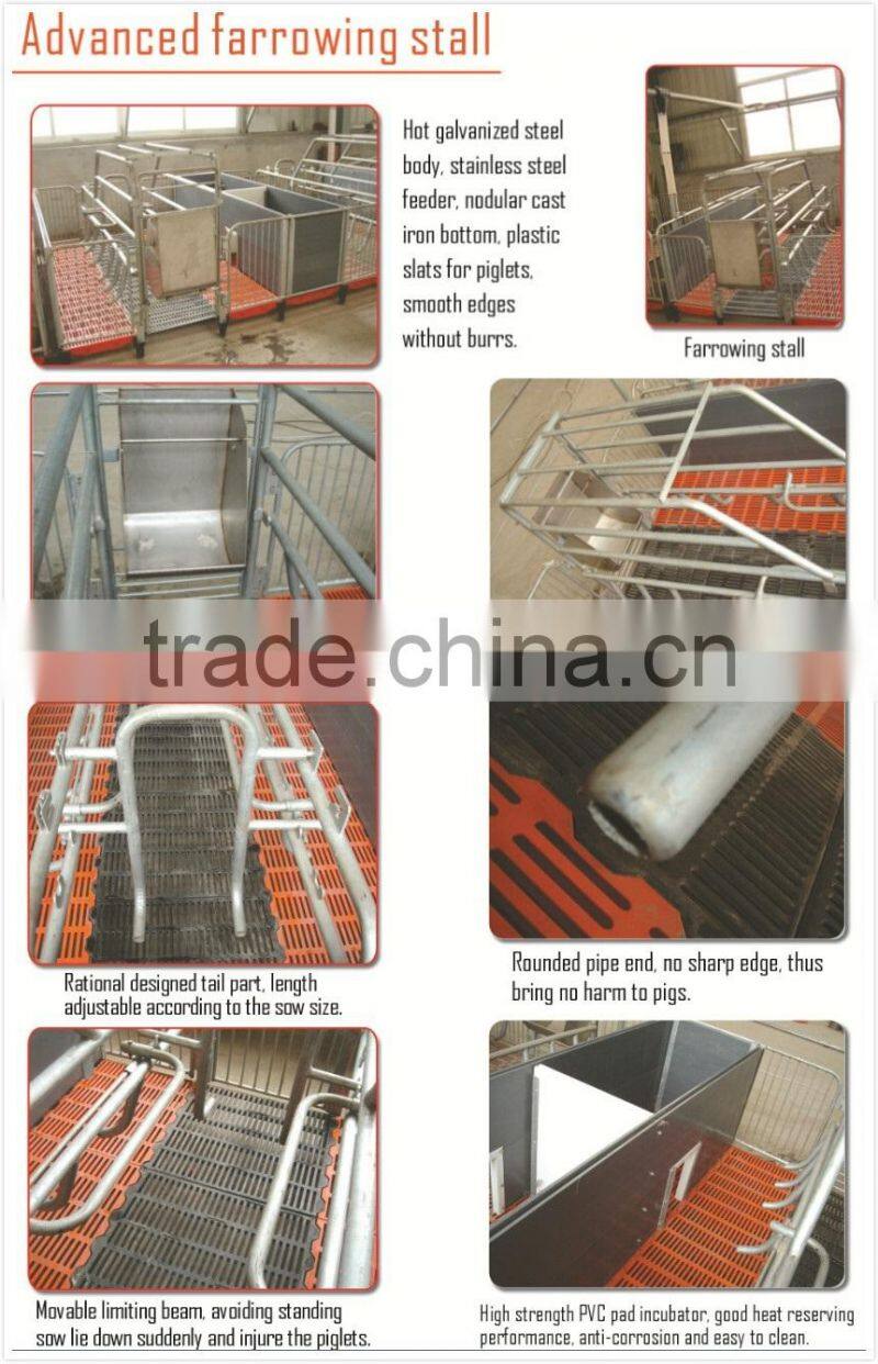 Cow Galvanized sheet Farrowing Stall Cage
