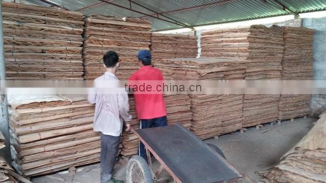 KEGO company exporting many countries origin of Vietnam 100% Eucalyptus core veneer