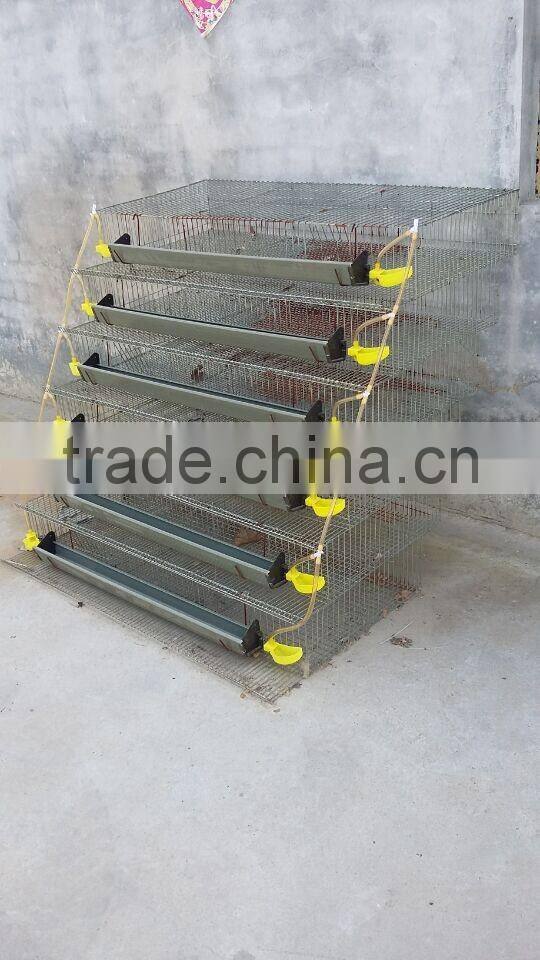 6 layers quail cages /parrot cage /chciken laying cage HJ-QCX400