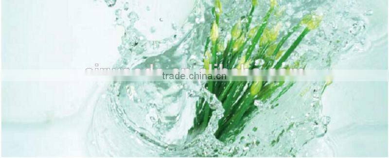 Fresh food cold storage refrigeration condensing unit