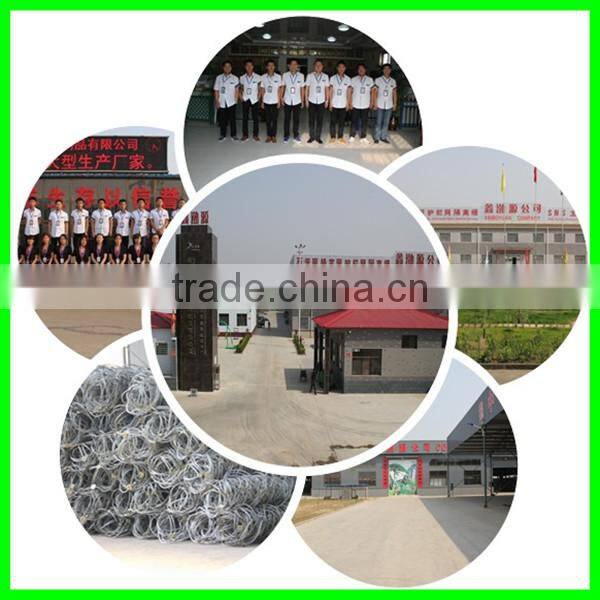 Active& passive slope protective steel wire mesh