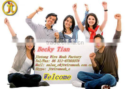 High Quality Hexagonal Wire Mesh/Chicken Wire/Chicken Cage (manufacturer ISO9001 )