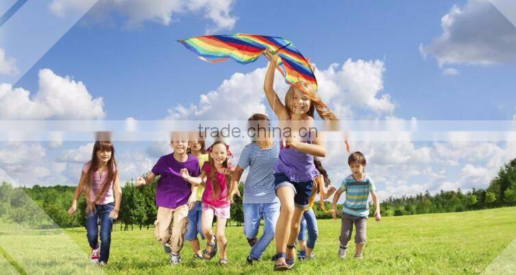 6x12 Granular Anthracite Coal Baed / Coconut Shell Based Bulk Activated Carbon Price in kg per ton