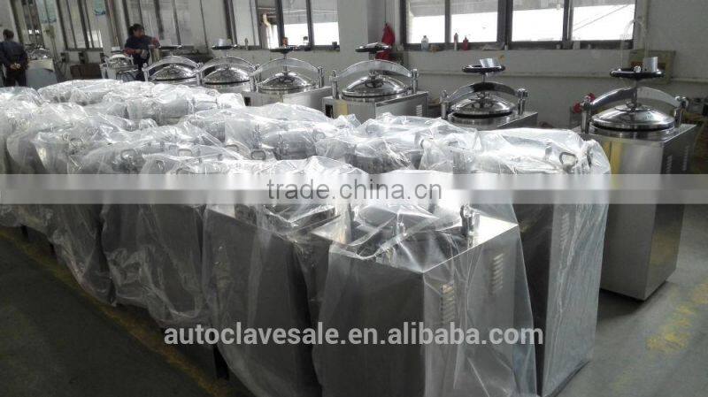 Portable Pressure hospital Steam Sterilizer for sale - Bluestone Ltd.