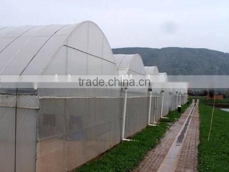 Intelligent plant breeding greenhouse