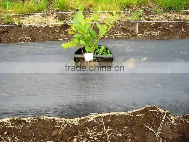 pp/pe woven mesh tree weed mat