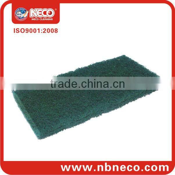 Scrubber holder with pads