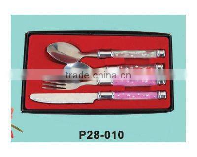 Stainless Steel Cutlery Set with plastic box