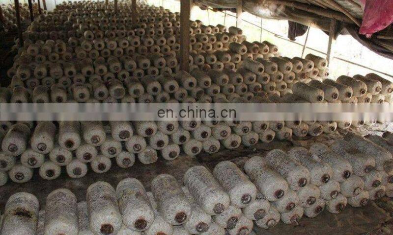 Semi-automatic mushroom bagging machine/Fungus plastic bag packing machine for price