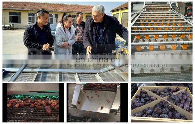 Commercial Ozone Fruit Cleaner Vegetable Washing Machine Manufacturer In India