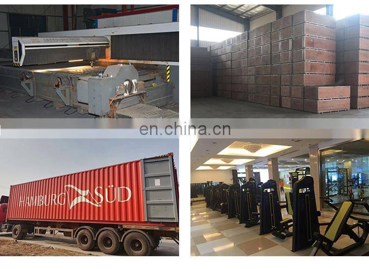 Factory directly supply commercial gym machine Precor equipment Lateral Raise