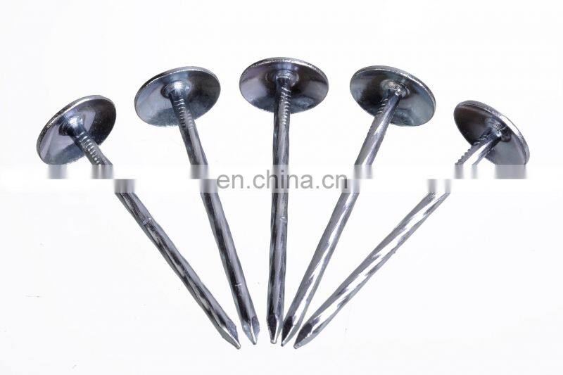 Roofing Cap Nails Screws Taiwan Coil Roofing Nails From China