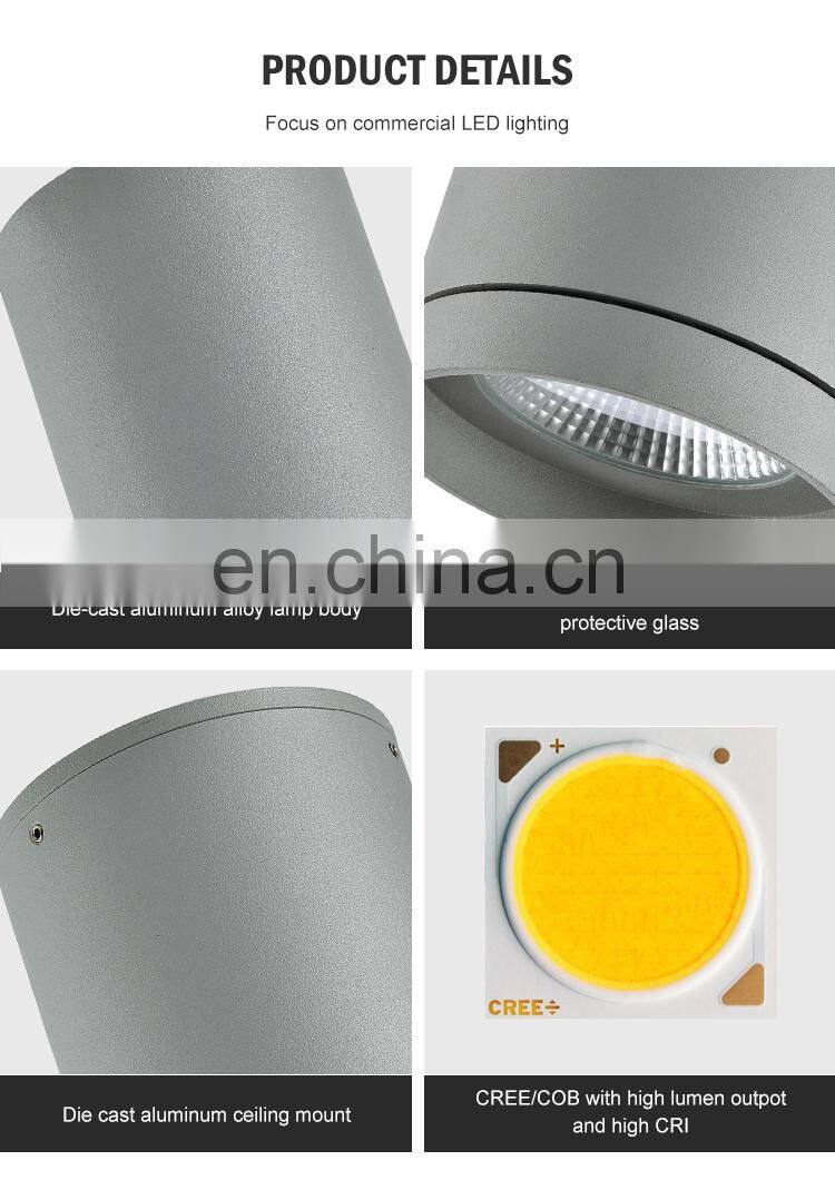 Round IP65 Waterproof Aluminum Ceiling Surface Mounted Ceiling 30W 36W 42W Led Down Light