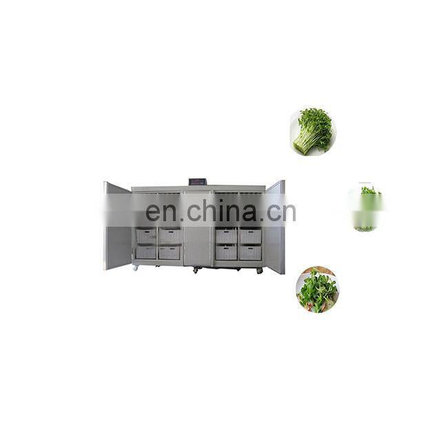 Automatic stainless steel bean sprout process machine