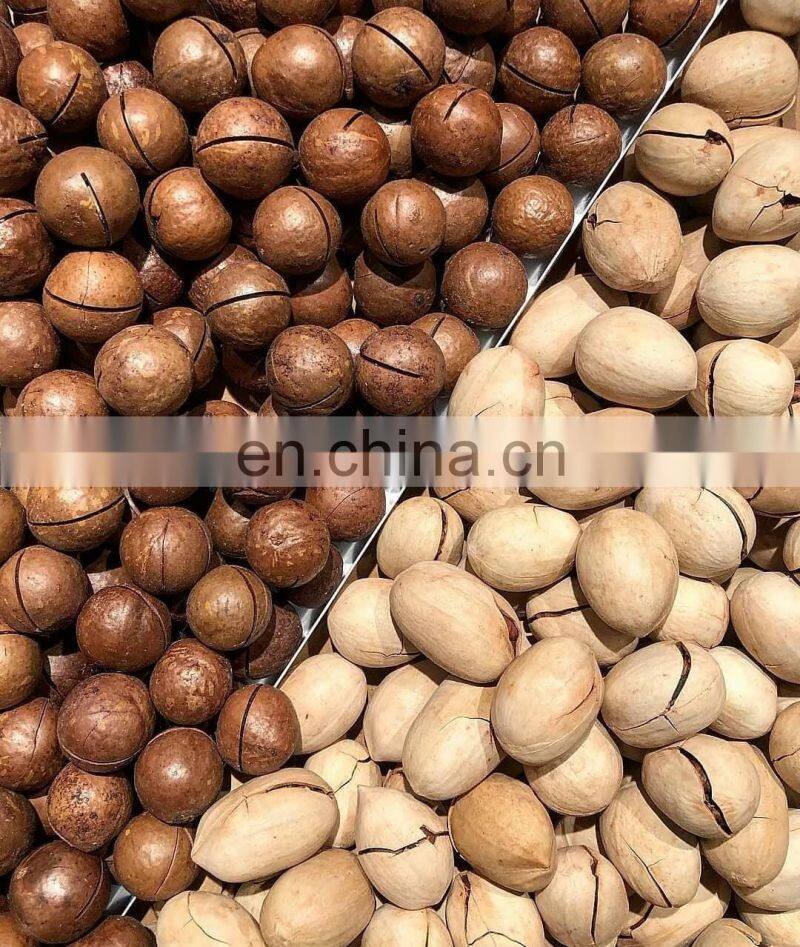 Hot selling pecan nuts in shell for export to Thailand