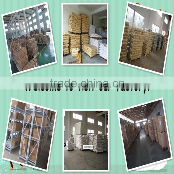 Colorful PP plastic business card holder book/name card displa book